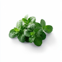 Close-up of fresh green mint leaves arranged against a white background, ideal for culinary, medicinal, and herbal uses.