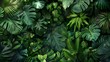 © Sinechana - 07231249 628. Artistic representation of tropical leaves from Asian trees, highlighting the natural beauty and diversity of the foliage in a vivid and immersive background scene