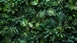 © Sinechana - 07231249 633. Artistic depiction of a tropical forest filled with diverse green leaves, including large and small leaves, creating a lush and detailed natural backdrop