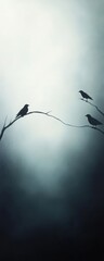 Wall Mural - A serene silhouette of birds perched on branches against a misty backdrop, capturing a tranquil and peaceful atmosphere.