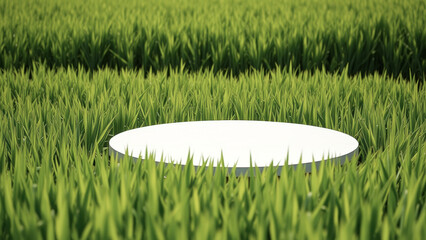 Poster - White Platform In A Field Of Grass