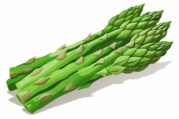 Poster - Green asparagus isolated vector illustration