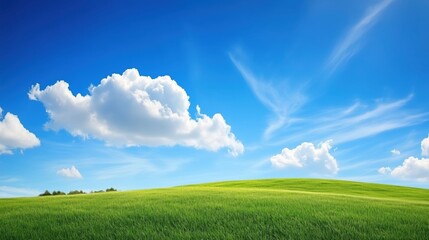 Wall Mural - abstract background of green grass on a background of blue sky with white clouds