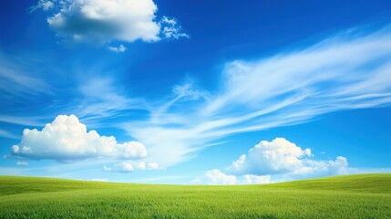 Wall Mural - abstract background of green grass on a background of blue sky with white clouds
