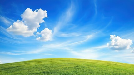 Wall Mural - abstract background of green grass on a background of blue sky with white clouds