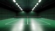 © Xabi - badminton court with green floor