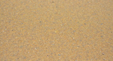 Sticker - sand texture background