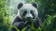 © pattozher - A gentle giant panda munching on bamboo in a serene Chinese bamboo forest