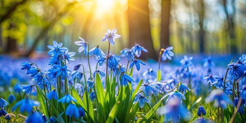 Wall Mural - Cluster of blue blooms in sunlit meadow with tree shadows in background