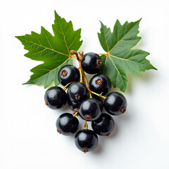 Wall Mural - black currant isolated on white