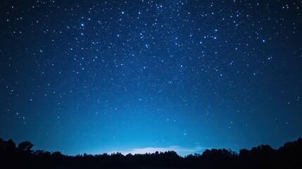 Wall Mural - Starry Night Sky Over the Silhouetted Forest