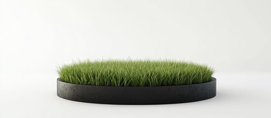 Fototapete - Fantasy 3D rendering of a circular podium set in a grass field featuring a round soil cross section mockup on a clean white background
