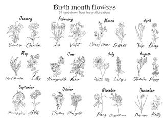 Sticker - Set of flower line art vector illustrations. Carnation, daffodil, larkspur, honeysuckle, tulip, lilies, peony, cosmos hand drawn black ink illustrations. Birth month flowers for jewelry, tattoo, logo.