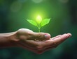 © off - Woman gently cradles a young seedling, her fingers tracing the delicate leaves as she nurtures new life in harmony with nature