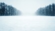 © ชัยธวัช ผาผง - A serene winter landscape, blanketed in snow, with soft snowfall and muted colors, creating a tranquil and peaceful atmosphere.