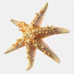 Wall Mural - a Starfish 3D rendering starfish , Isolated