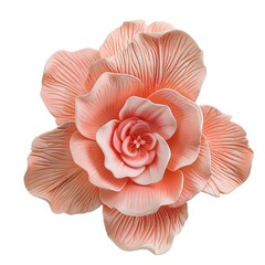 Wall Mural - pink rose isolated on white