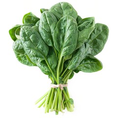 Canvas Print - fresh spinach leaves