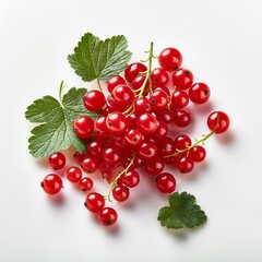 Wall Mural - red currant isolated on white background, square food photography