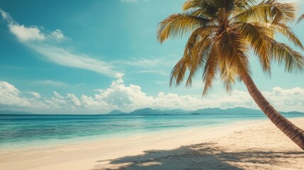 Wall Mural - Summer beach with palm tree.