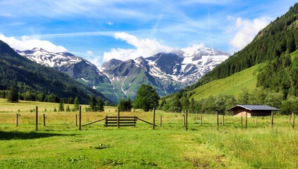 Canvas Print - Idyllic landscape in the Austria Alps with fresh green meadows and blooming flowers and snowcapped mountain tops in the background, Hohe Tauren - Grossglockner High Alpine Road