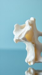 Close-up of a white anatomical model of a human vertebra, isolated on a blue background.