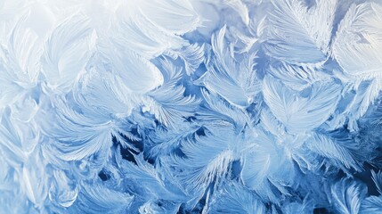 Wall Mural - Abstract forms in cool, icy shades, capturing the beauty and chill of a winter landscape covered in frost