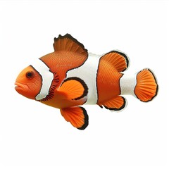 Wall Mural - An orange and white clown fish isolated on a transparent background isolated 