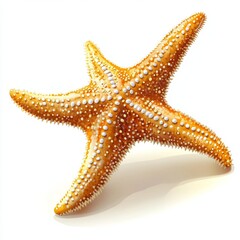 Wall Mural - vector graphic of a starfish