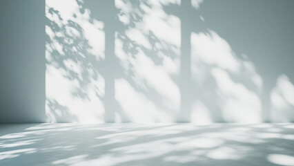 Sunlit Spots on a Pure White Wall