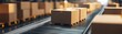 © Sunshine - Cardboard Boxes on Conveyor Belt in Modern Distribution Warehouse for Shipping and Logistics