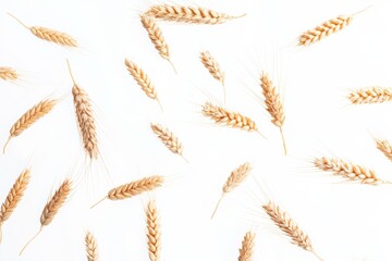 Wheat ears floating in the air against a white background,