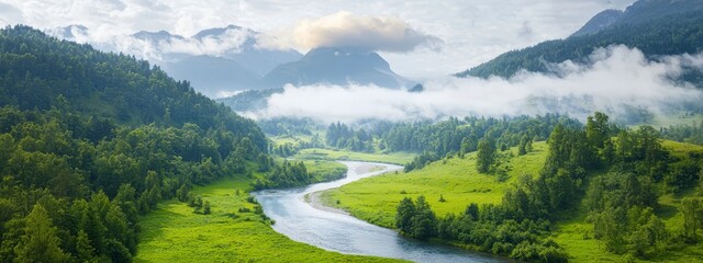 Wall Mural -  A river runs through a verdant valley, enveloped by hills adorned with dense green foliage and low-lying clouds, with pine trees dotting the landscape