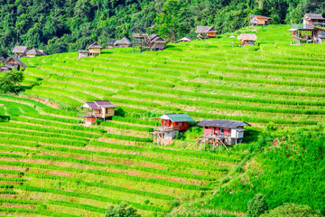 Panoramic nature background from high mountains overlooking the beautiful scenery below, green rice fields, big and small trees, beautiful rugged mountains from the viewpoint.