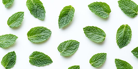 Freshly fallen mint leaves isolated on a white background in a flat lay arrangement