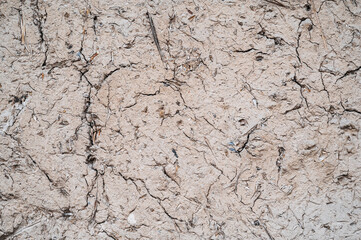 Wall Mural - The texture of dirt and straw used for a primitive building structure.