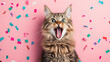© KEA - very surprised excitement cat with open mouth and confetti ,  greeting card party