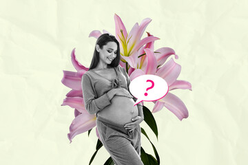 Poster - Trend artwork sketch image collage of young age lady hand hold pregnant stomach tummy smile love motherhood parent spring flower guess who