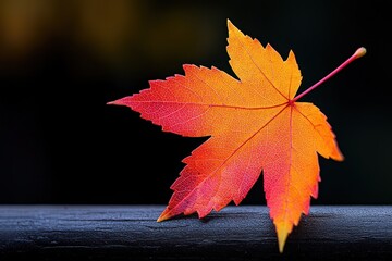 Wall Mural - bright orange and red leaf on a wooden surface
