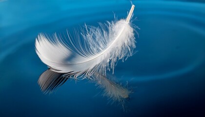 Wall Mural - white feather in water