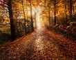 © rob3rt82 - Sunlit autumn forest path covered in colorful fallen leaves, surrounded by tall trees.