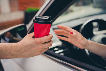 Poster - Cropped photo of lady driver hands arms riding car buying coffee to go outdoors urban city street