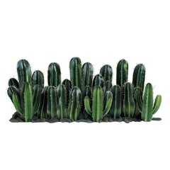 Sticker - Dark Green Cacti Isolated Row isolated on white 