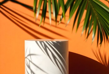 A palm tree frond against an orange wall with a white window frame