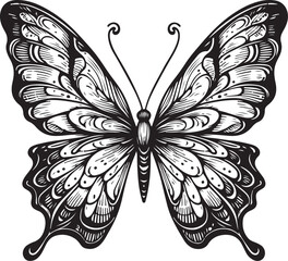 Hand drawn single butterfly outline art silhouette illustration in white background