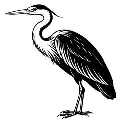 Wall Mural - Heron vector silhouette on a white background 