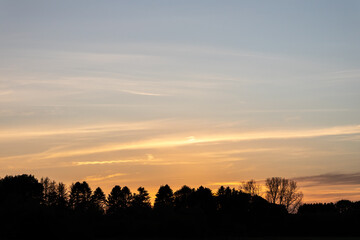 Autumn sunset with beautiful tree silhouette