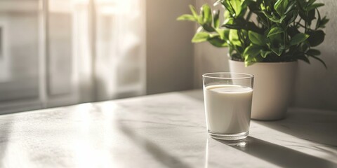 Wall Mural - Glass of milk on a table near a plant.