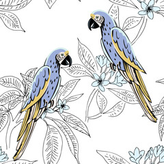 Wall Mural - Tropical light blue parrots, plumeria flowers, white background. Vector seamless pattern. Floral illustration. Exotic plants, birds. Summer beach design. Paradise nature