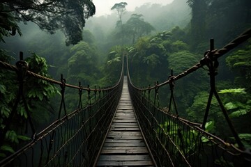 Poster - Suspension bridge outdoors nature forest.